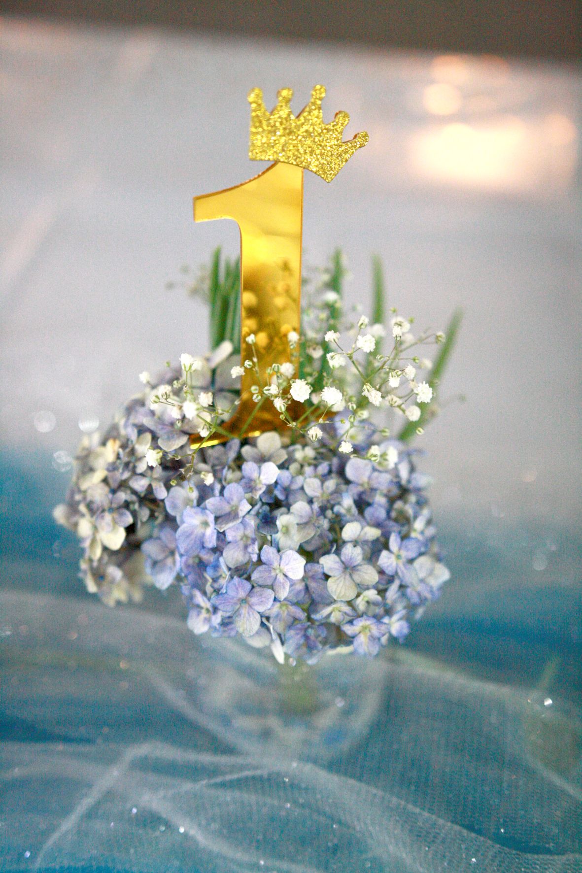 portfolio-image