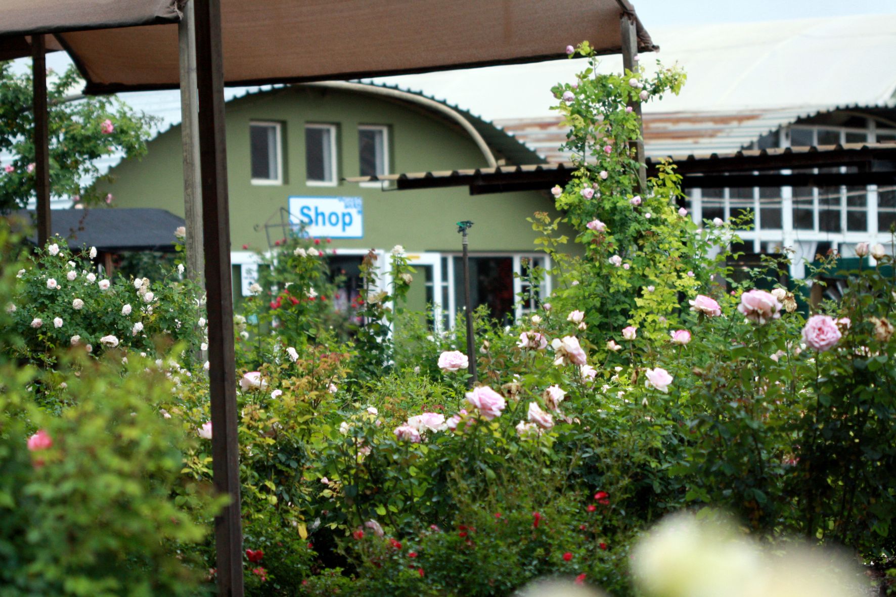 portfolio-image