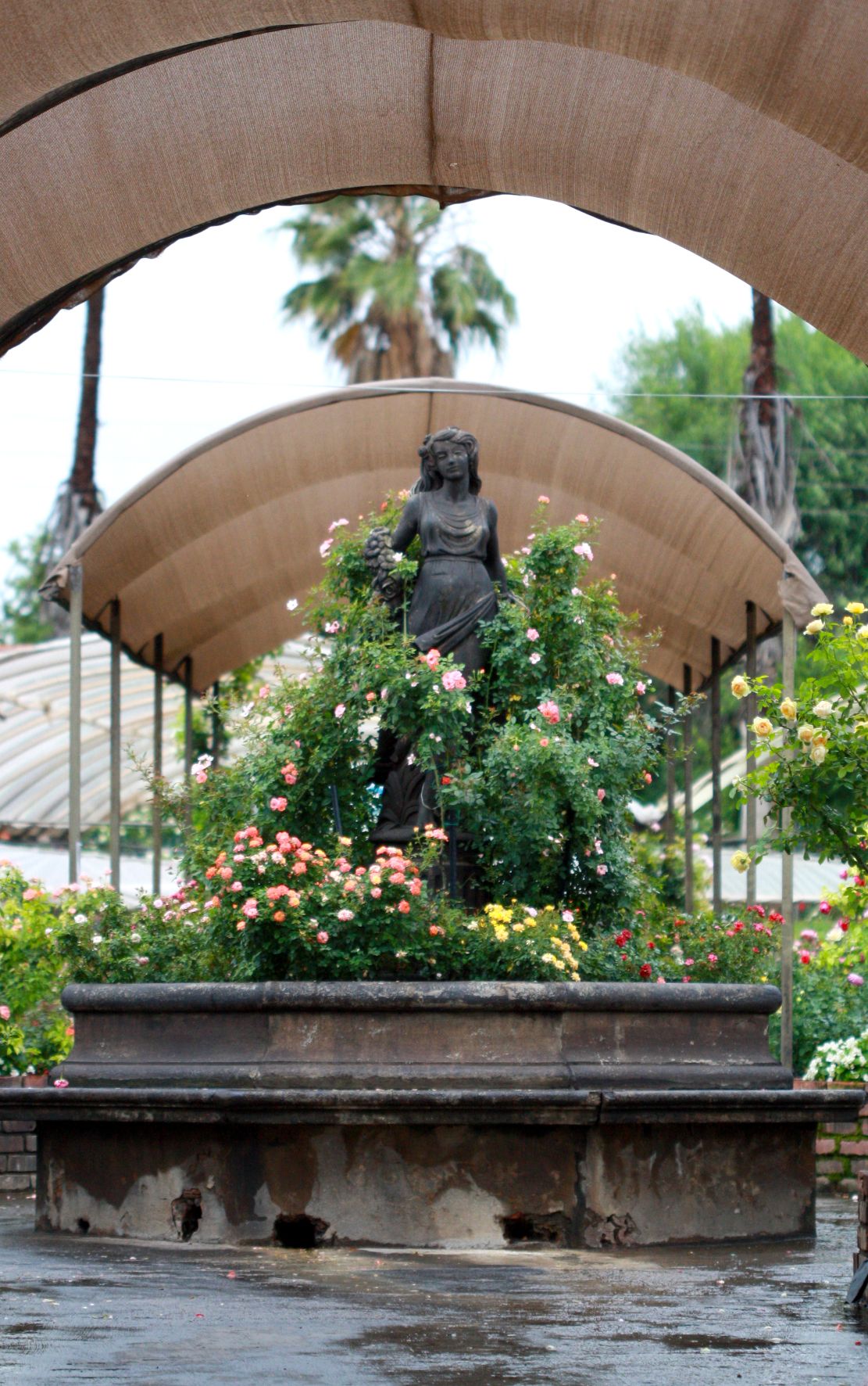 portfolio-image