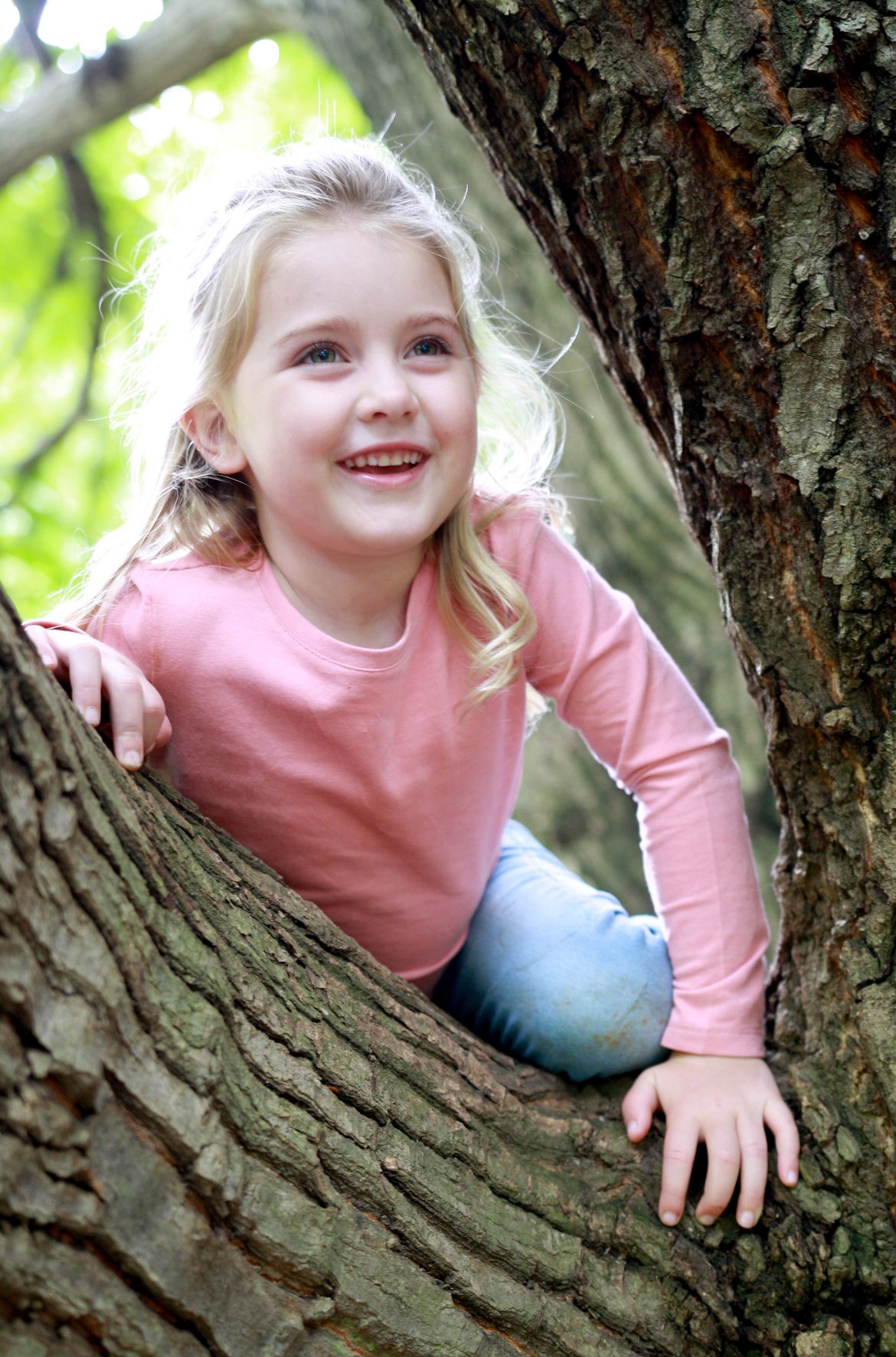 portfolio-image