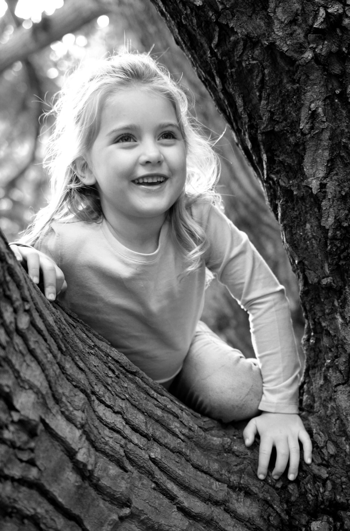 portfolio-image