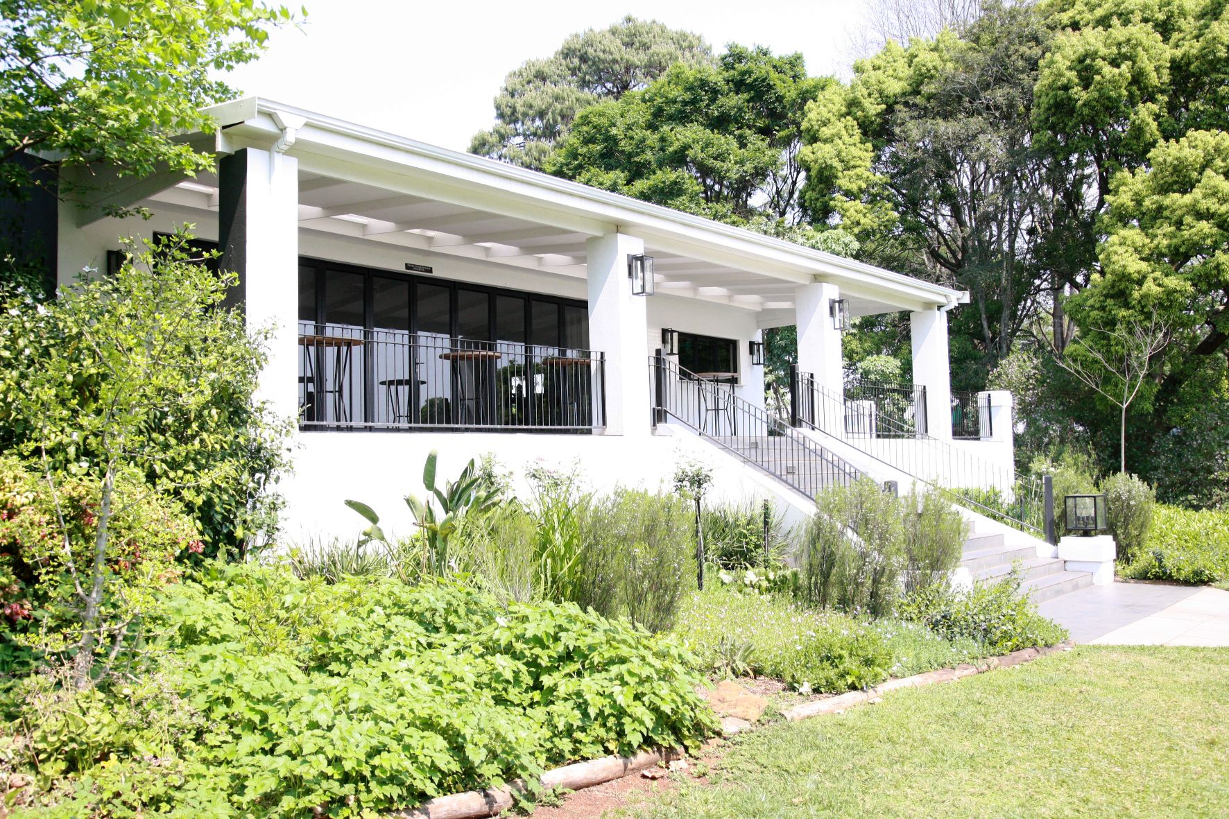 portfolio-image