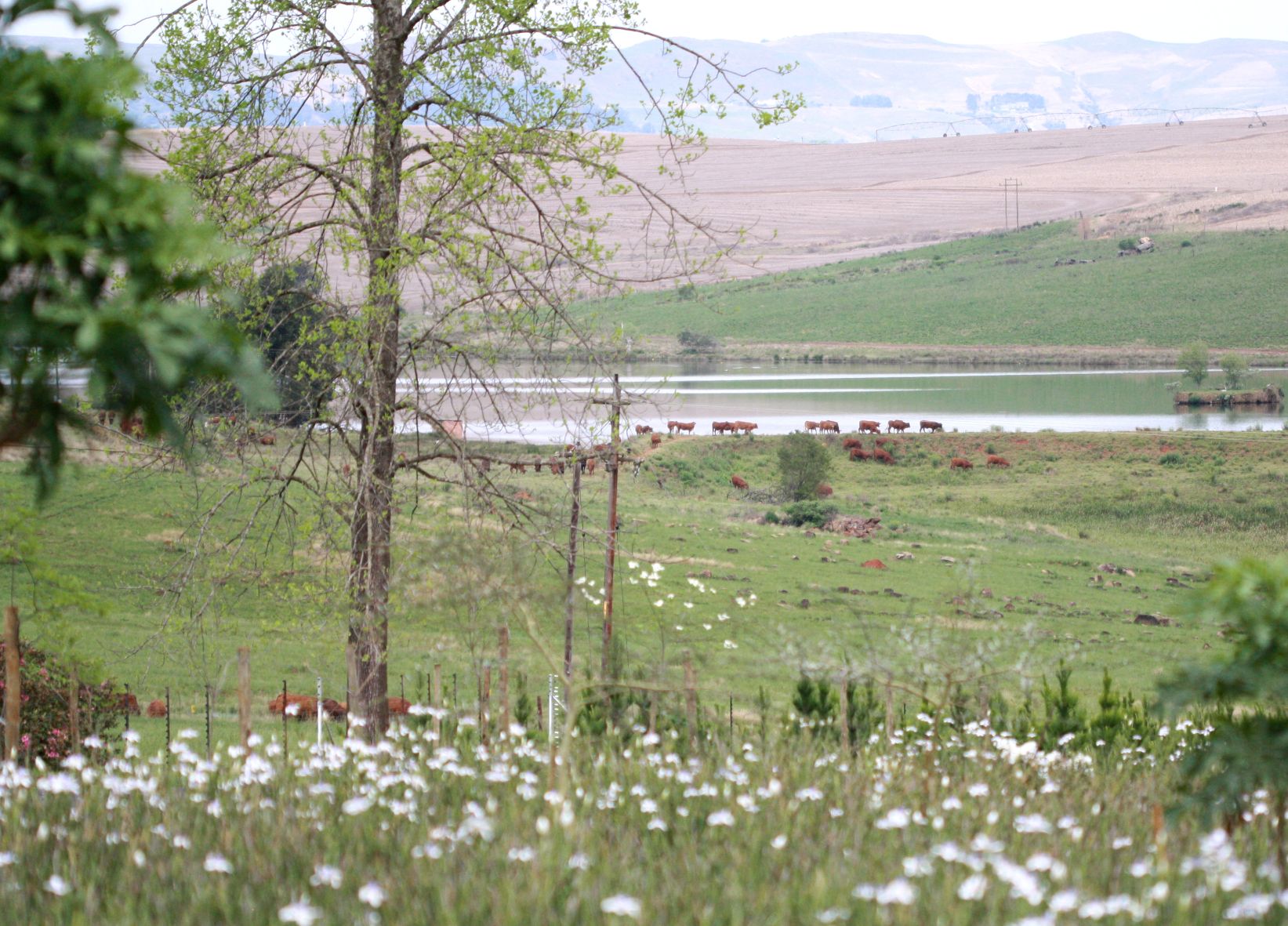 portfolio-image
