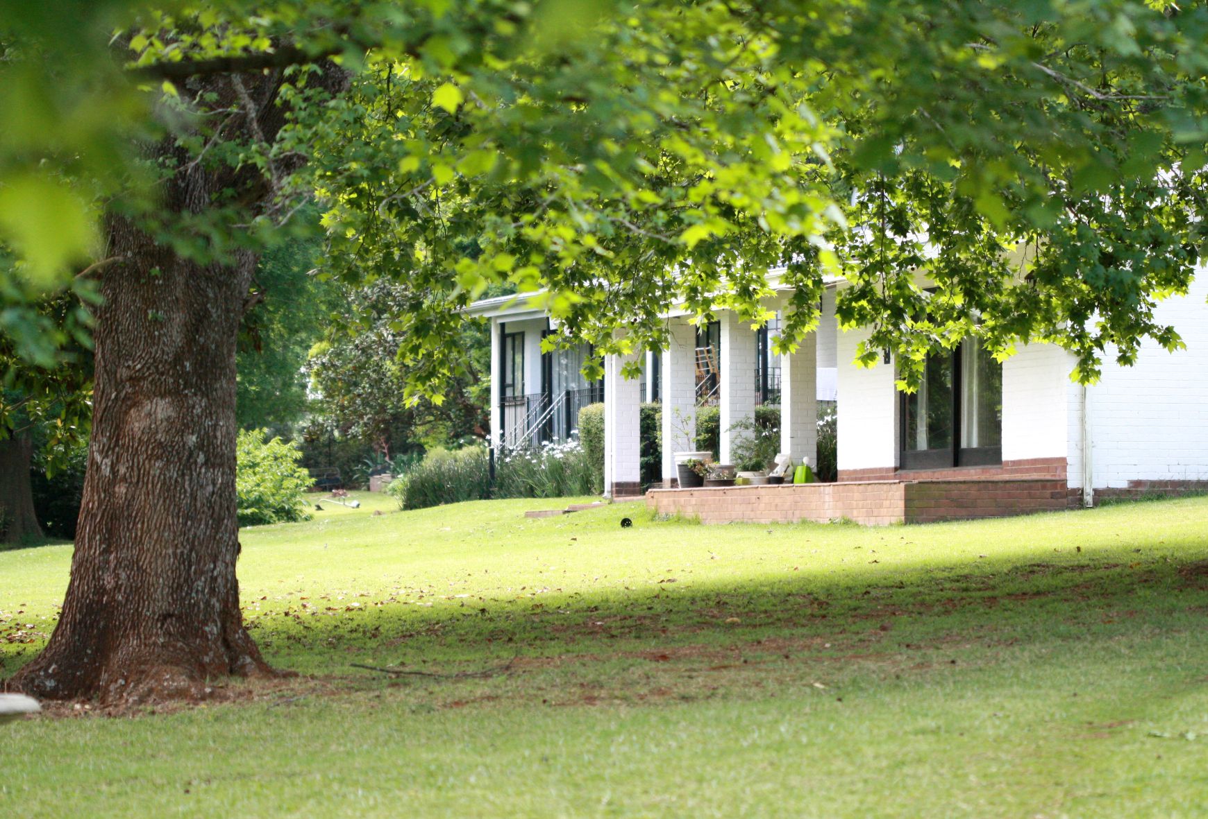 portfolio-image